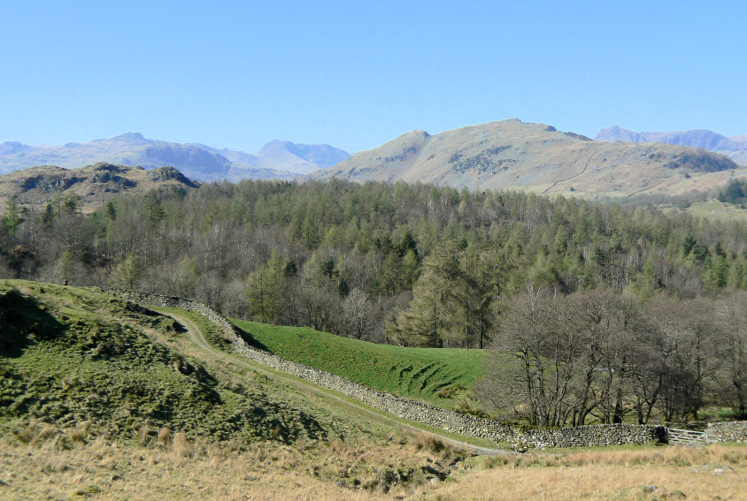 Lingmoor Fell Lingmoor Fell